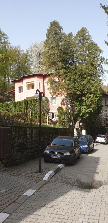 Gasthof Rosa *